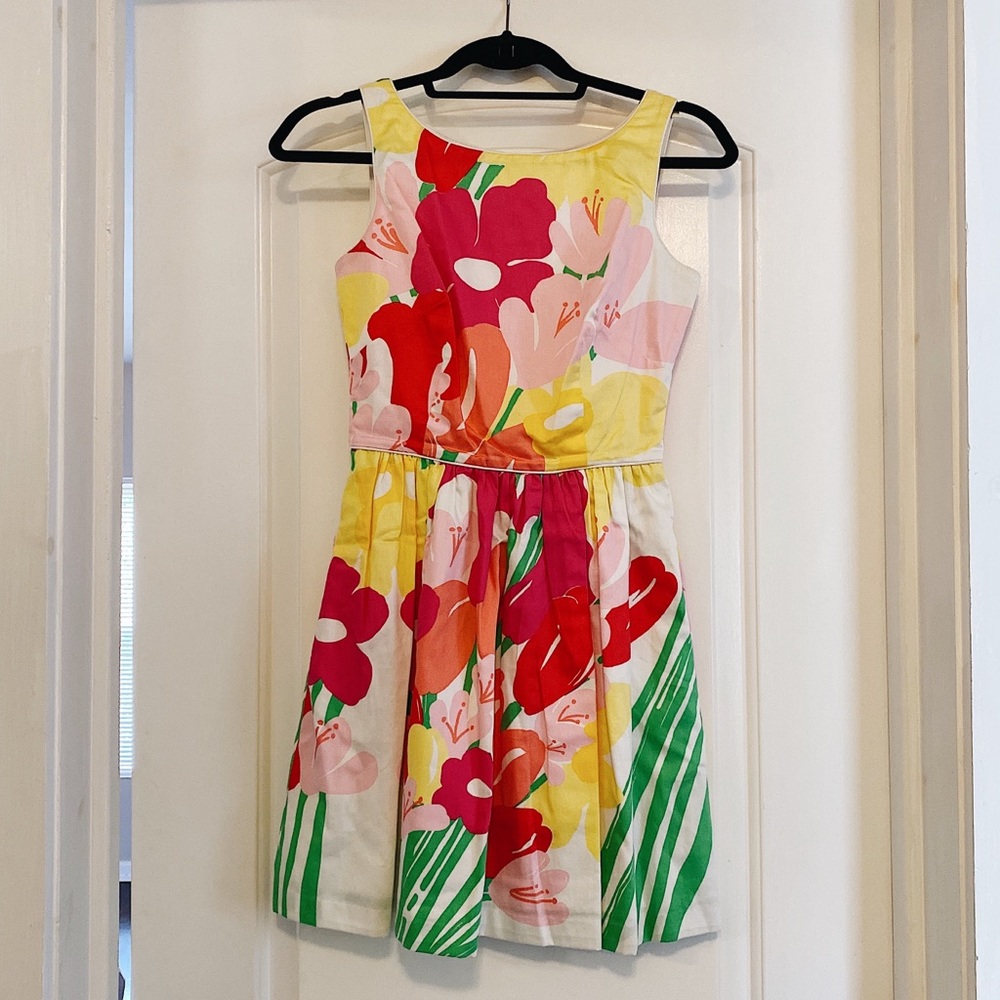 Lilly Pulitzer Fit & Flare Dress